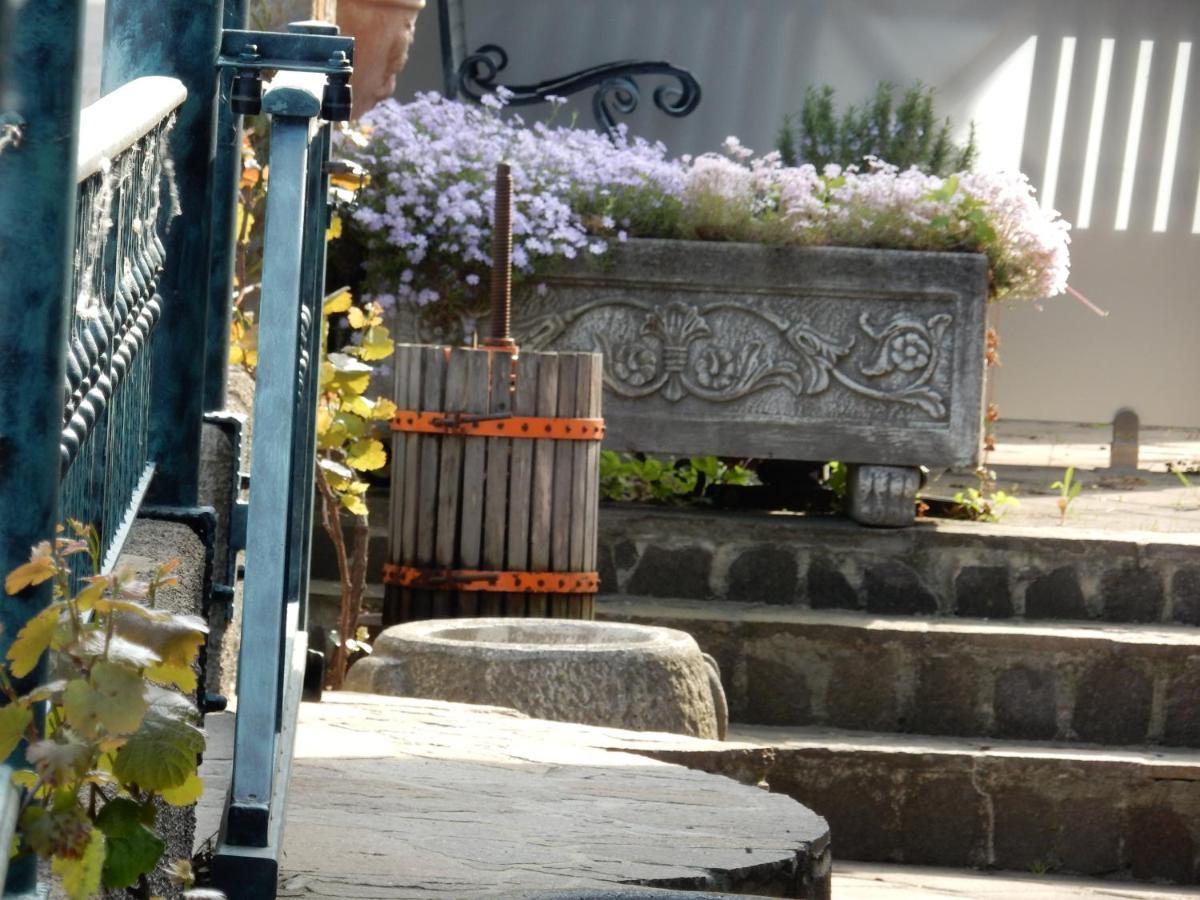 Garni Hotel Terano Maribor Exterior photo